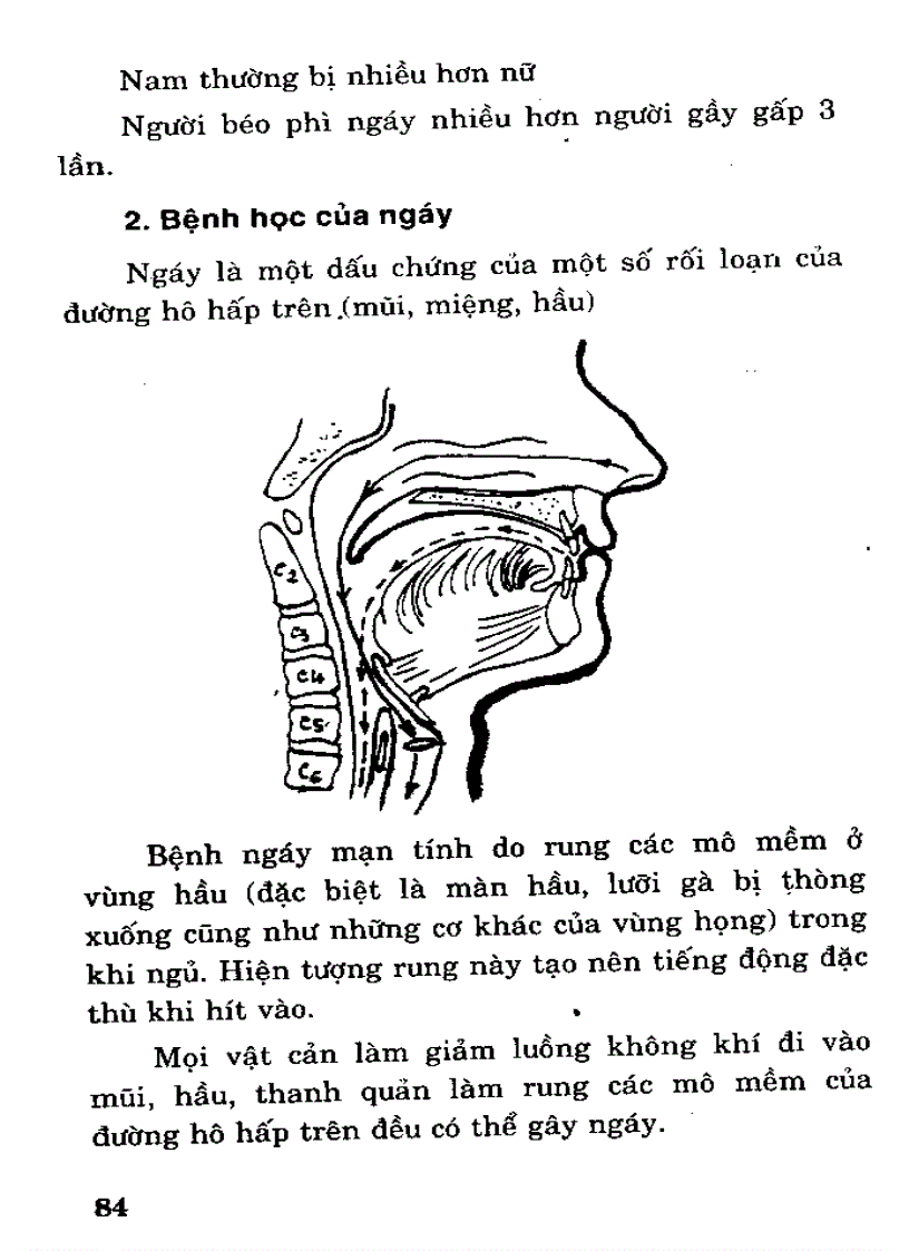 image for page Chuyên đề Bệnh Răng