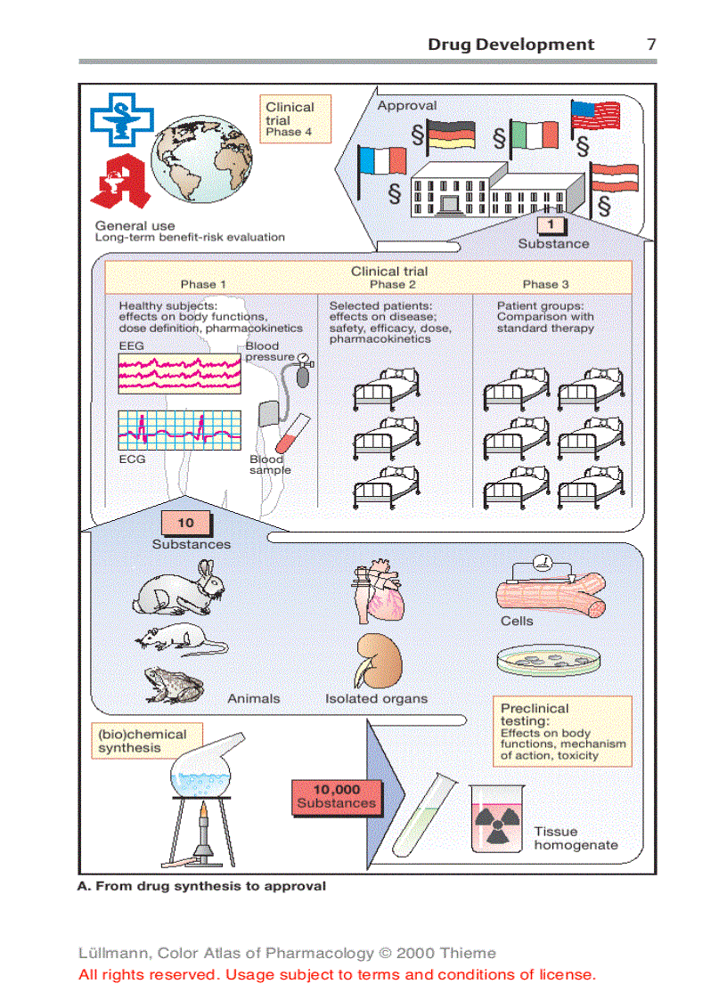 image for page Color Atlat of Pharmacology 2edition