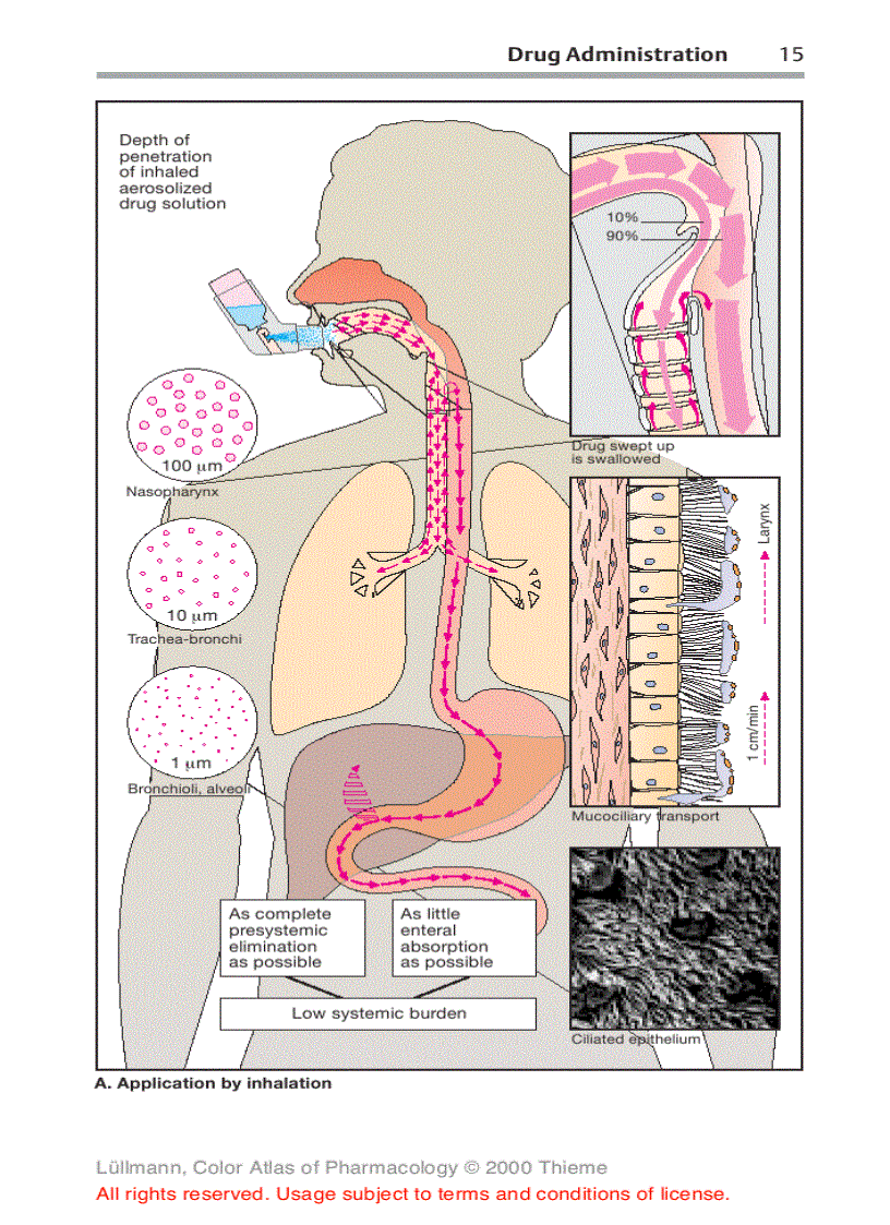 image for page Color Atlat of Pharmacology 2edition