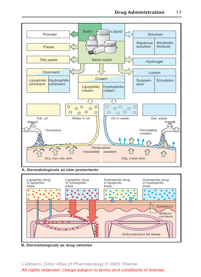 image for page Color Atlat of Pharmacology 2edition