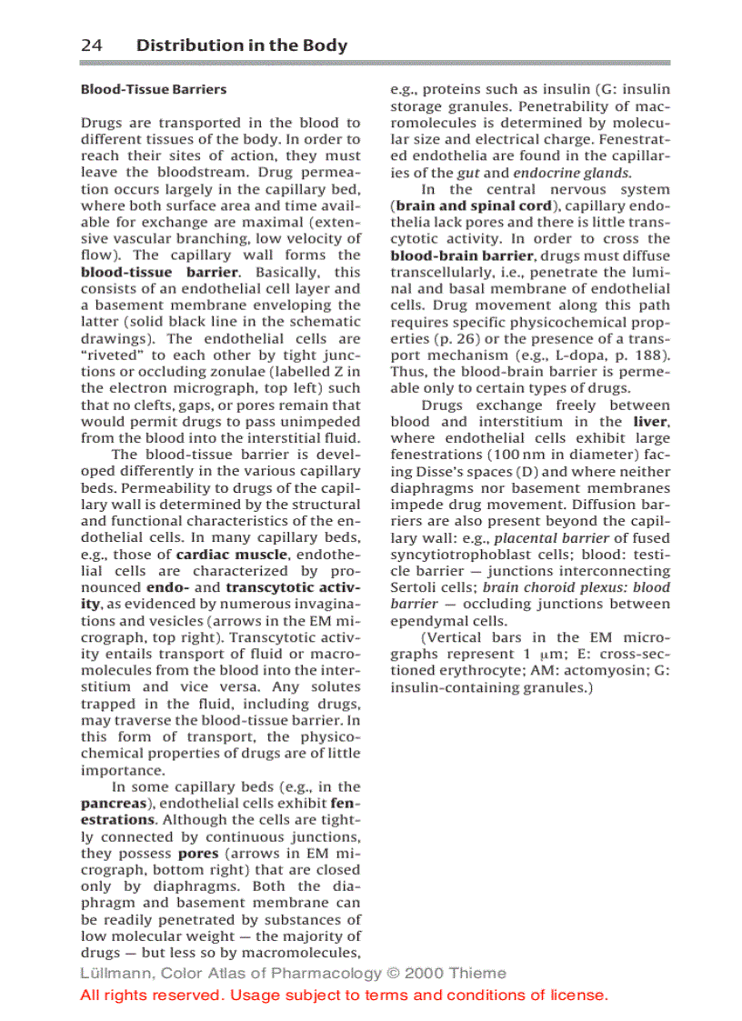 image for page Color Atlat of Pharmacology 2edition