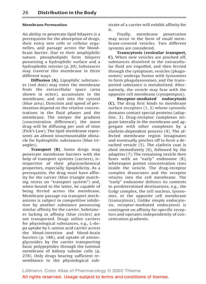 image for page Color Atlat of Pharmacology 2edition