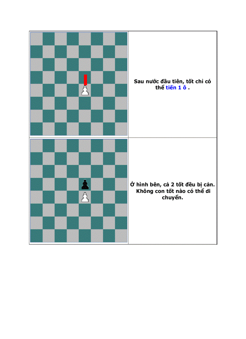 image for page Dạy Con Chơi Cờ Vua