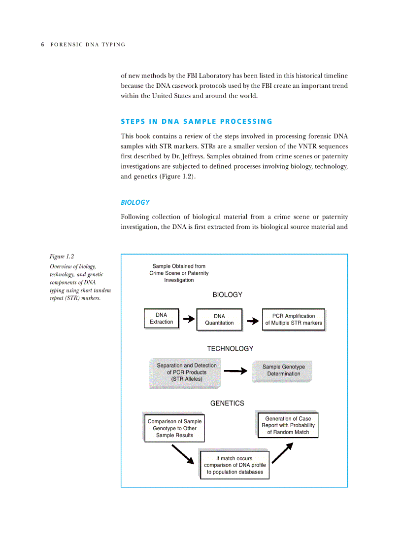 image for page Forensic DNA Typing Second Edition Biology Technology and Genetics of STR Markers