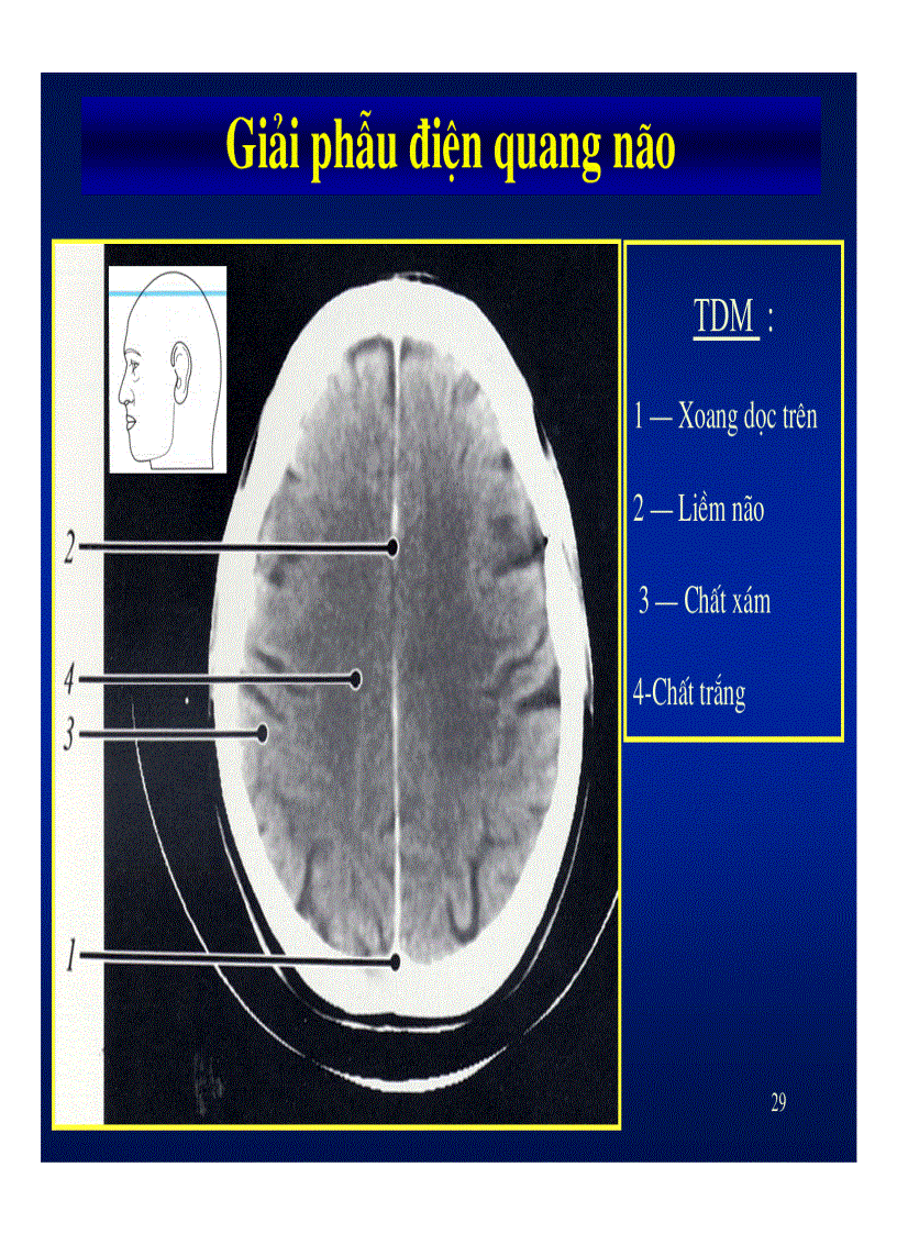 image for page Giải phẫu thần kinh đối chiếu chẩn đoán hình ảnh