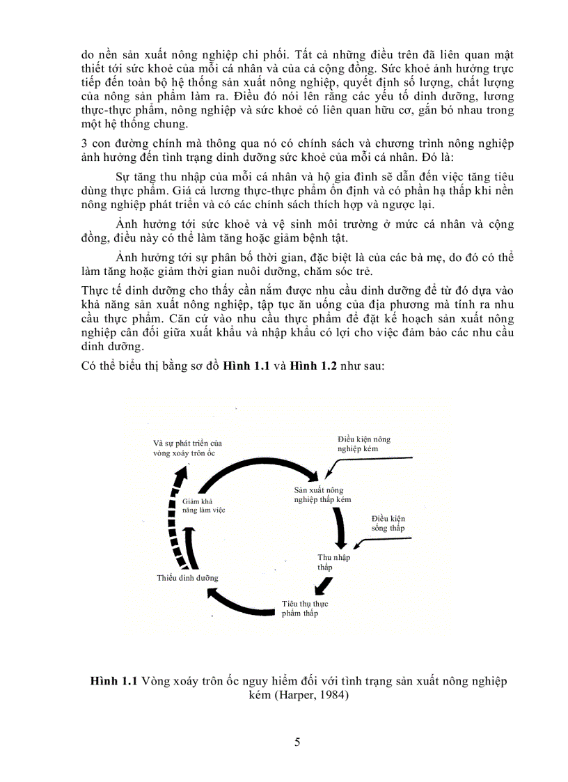 image for page Giáo Trình Dinh Dưỡng Người