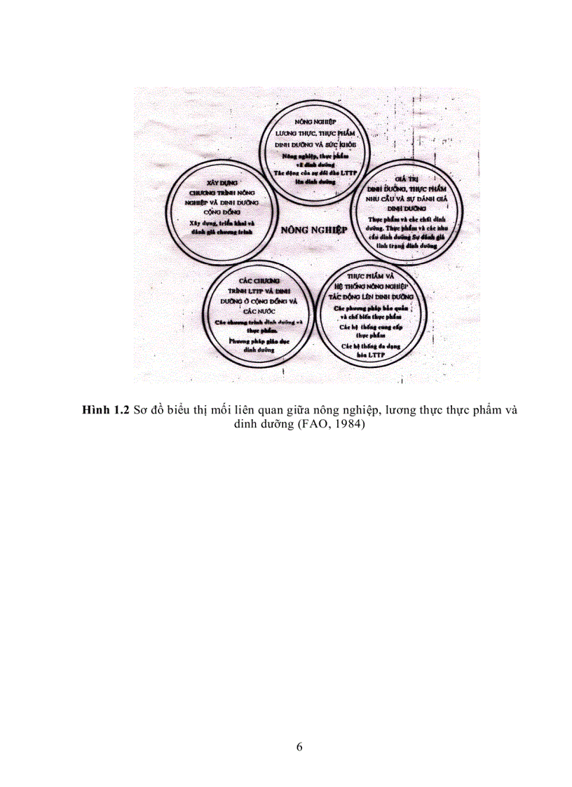 image for page Giáo Trình Dinh Dưỡng Người