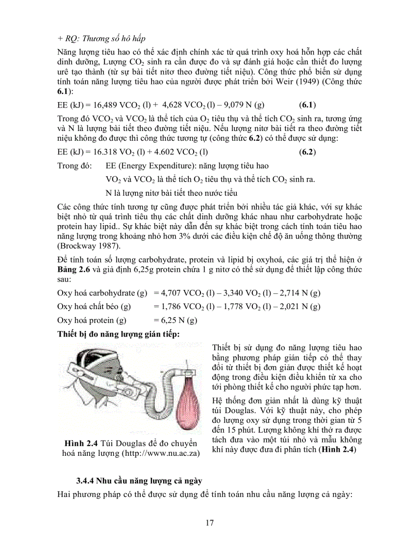 image for page Giáo Trình Dinh Dưỡng Người