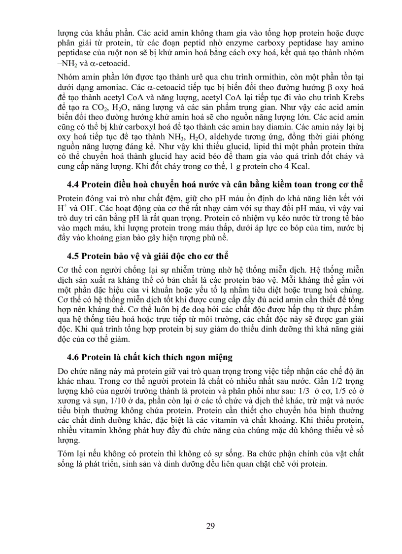 image for page Giáo Trình Dinh Dưỡng Người