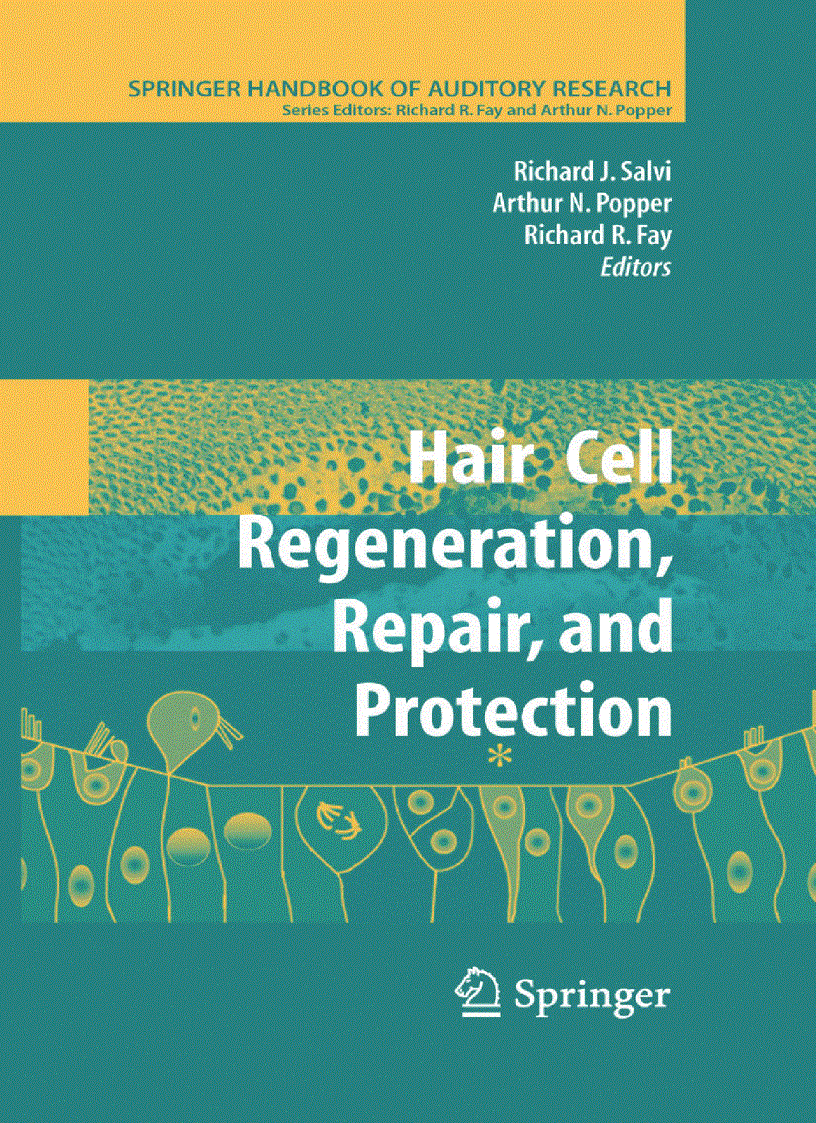 Hair Cell Regeneration Repair and Protection