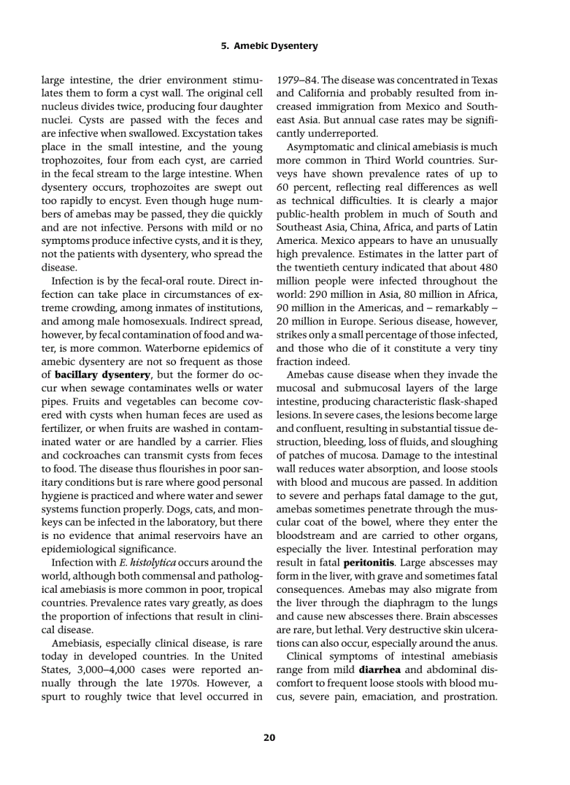 image for page The Cambridge Historical Dictionary of Disease