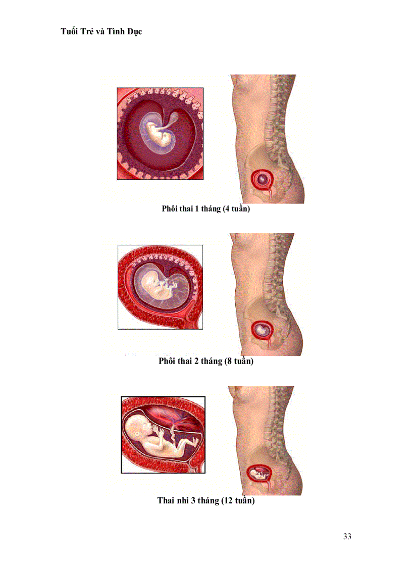 image for page Tuổi Trẻ Và Tình Dục 1