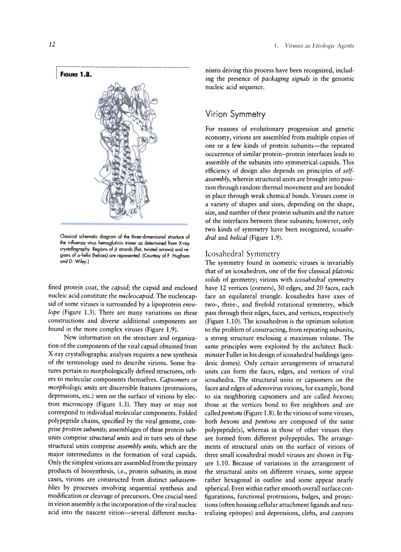 image for page Veterinary Virology Third Edition