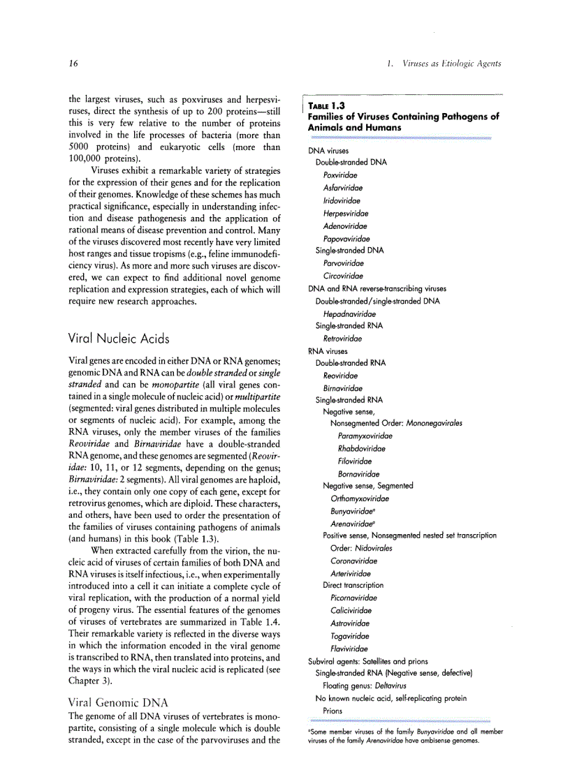 image for page Veterinary Virology Third Edition