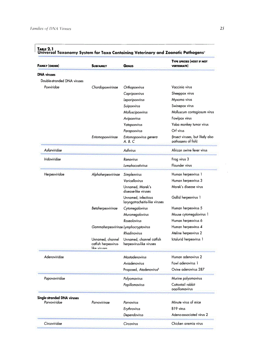 image for page Veterinary Virology Third Edition