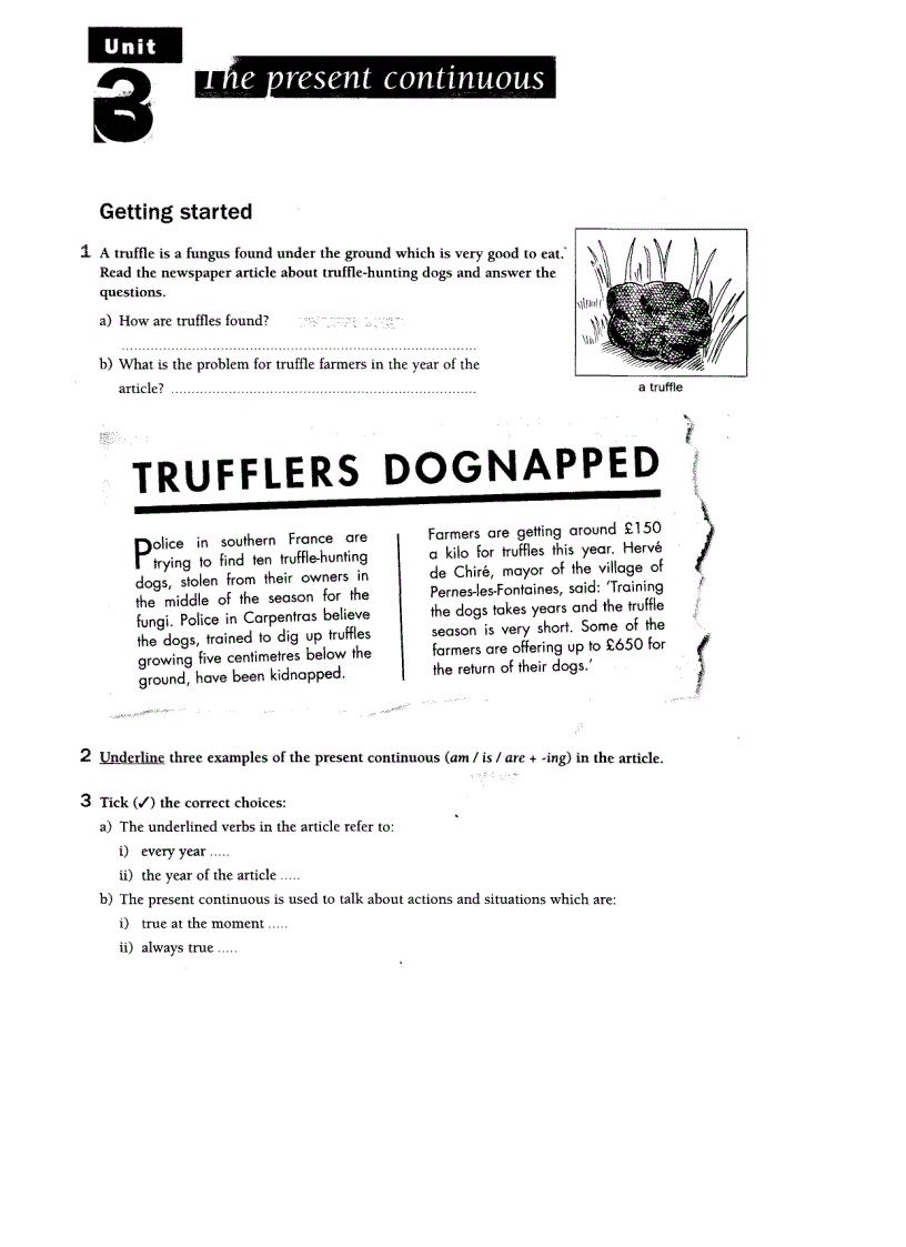 image for page Developing Grammar in Context Intermediate with Answers Grammar Reference and Practice