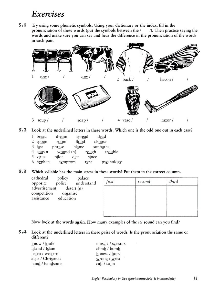 image for page English Vocabulary in Use Pre Intermediate
