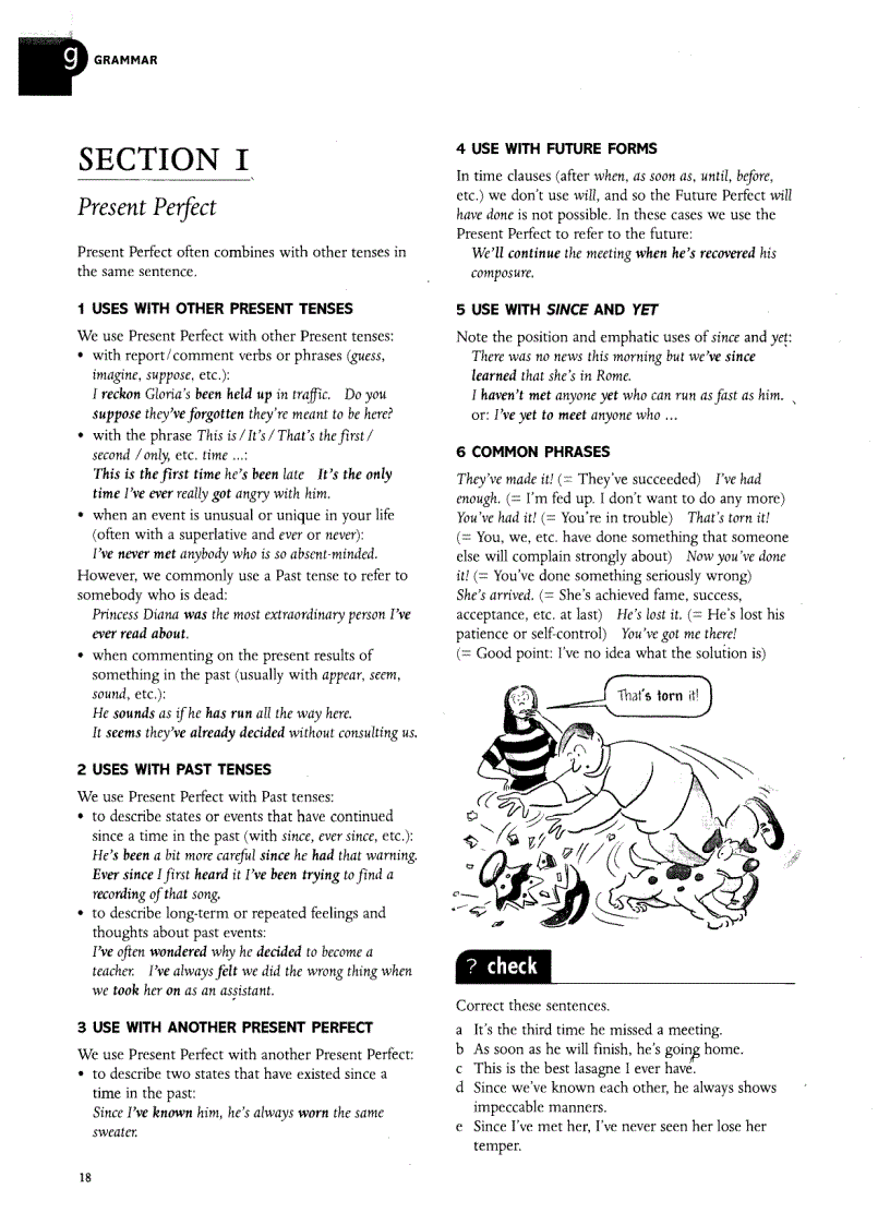 image for page Grammar and Vocabulary for Cambridge Advanced and Proficiency