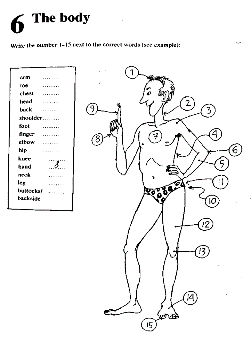 image for page Test Your Start Testing Your Vocabulary