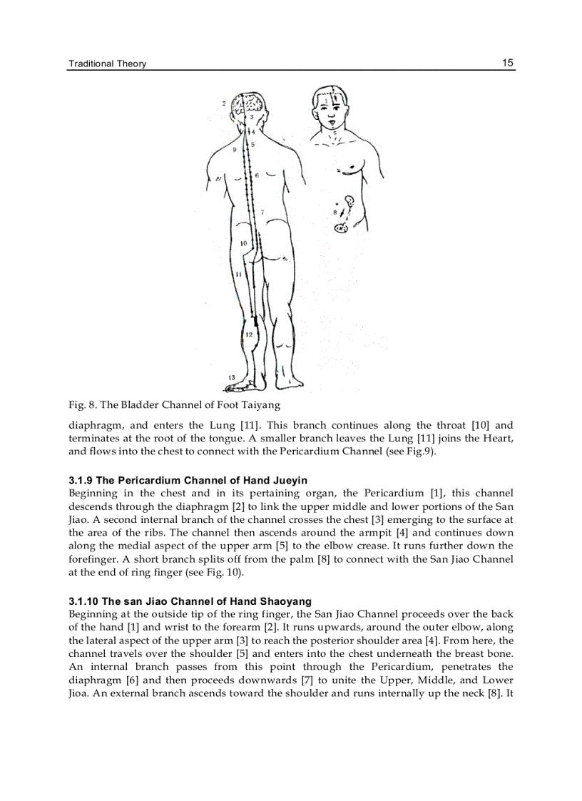 image for page Acupuncture Concepts and Physiology