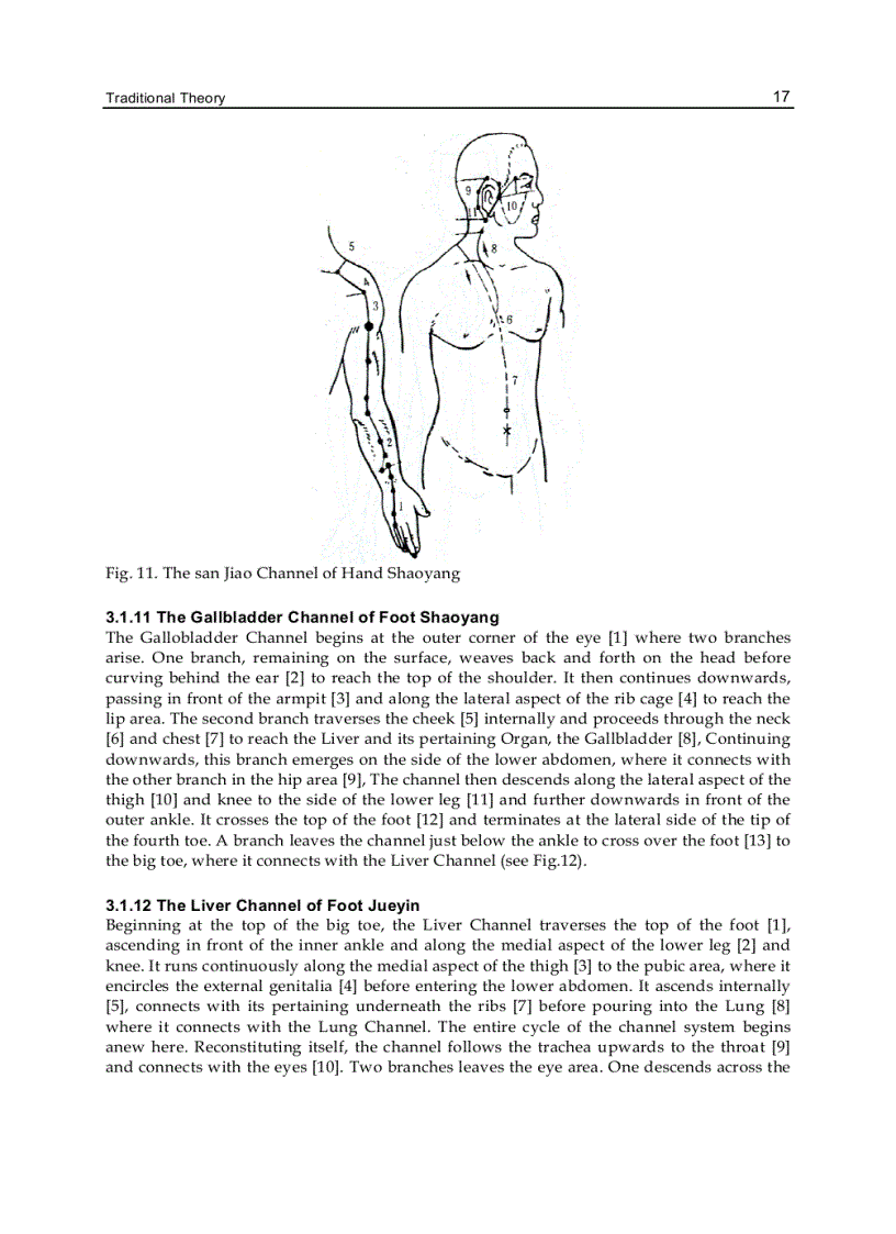 image for page Acupuncture Concepts and Physiology