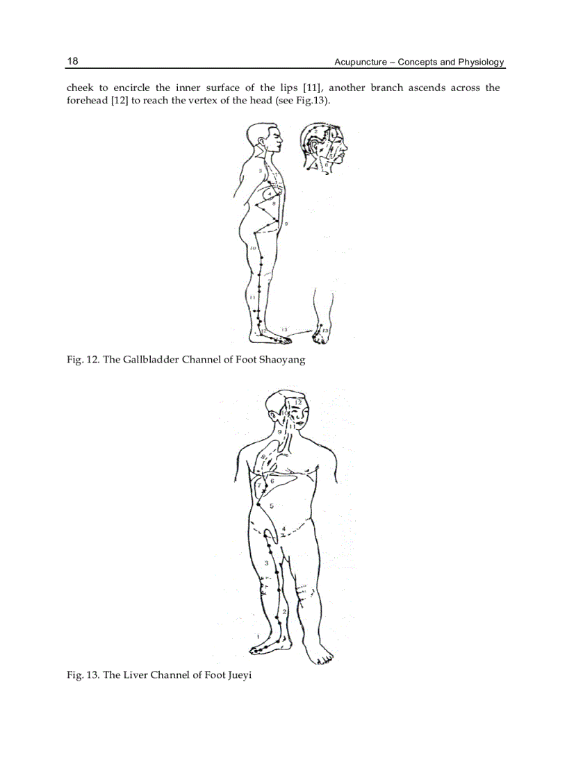 image for page Acupuncture Concepts and Physiology