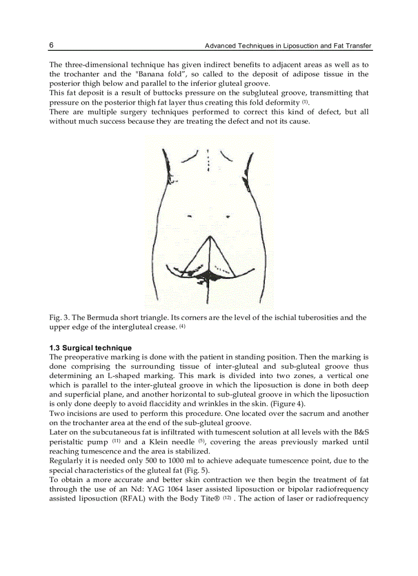 image for page Advanced Techniques in Liposuction and Fat Transfer