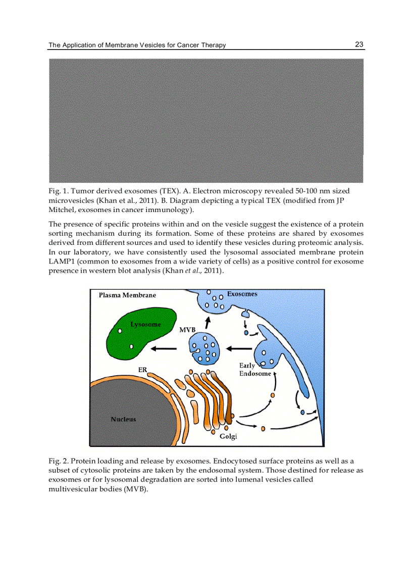 image for page Advances in Cancer Therapy