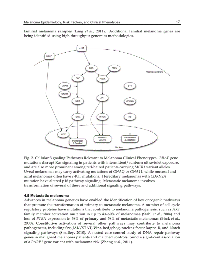 image for page Advances in Malignant Melanoma Clinical and Research Perspectives