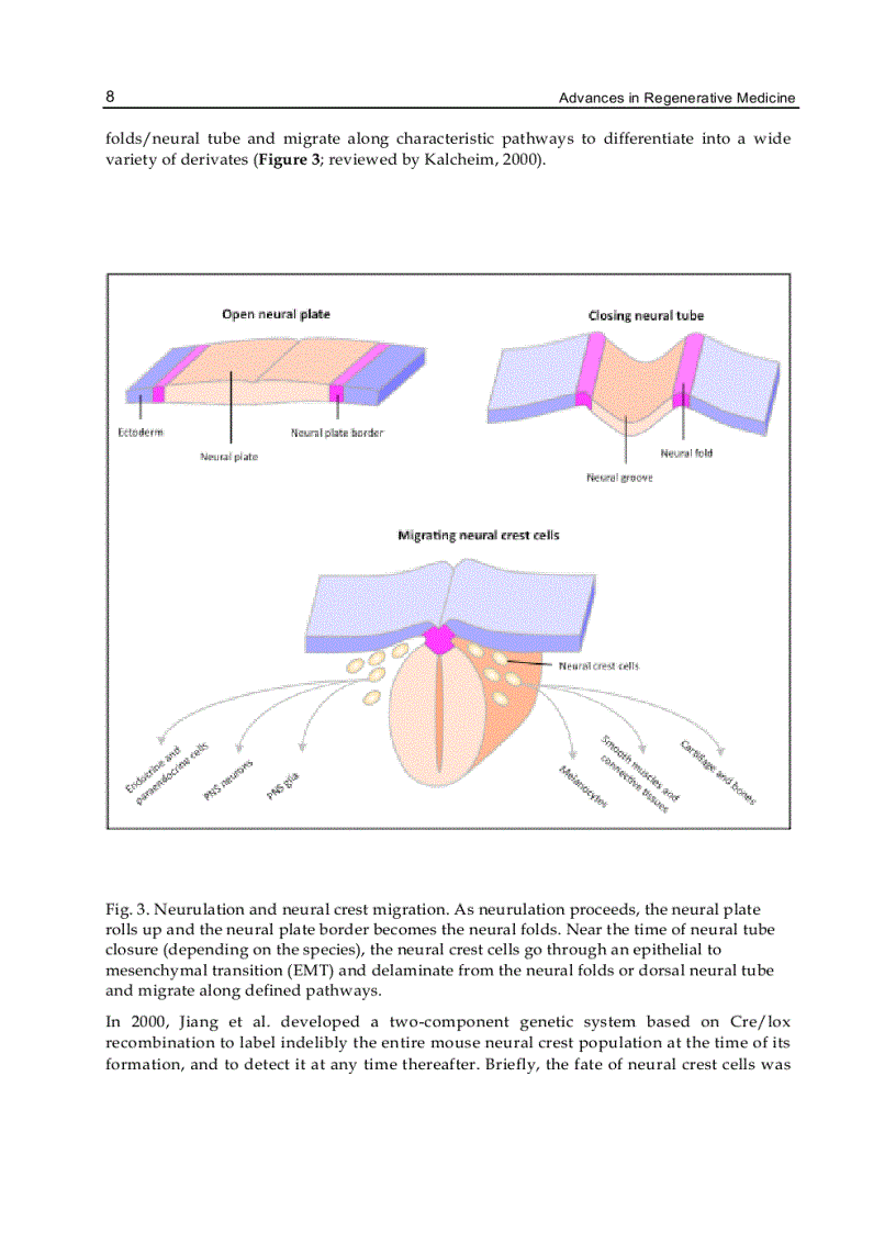 image for page Advances in Regenerative Medicine