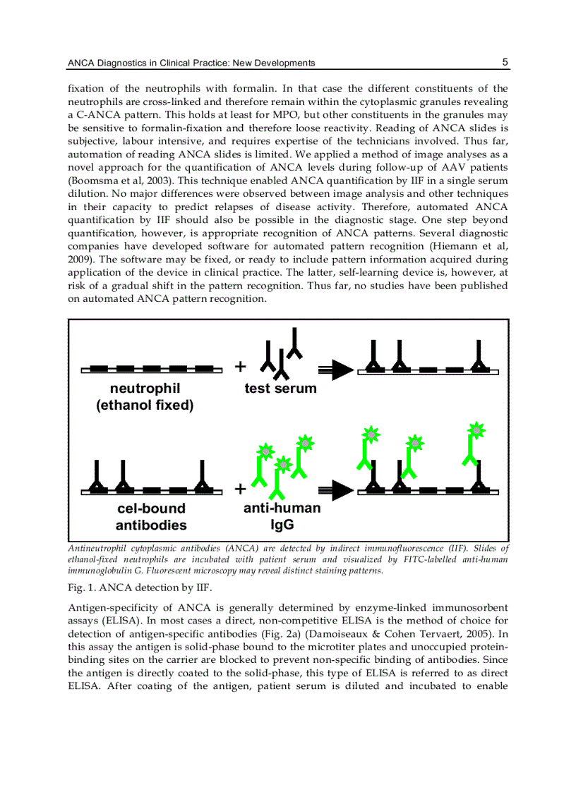 image for page Advances in the Diagnosis and Treatment of Vasculitis