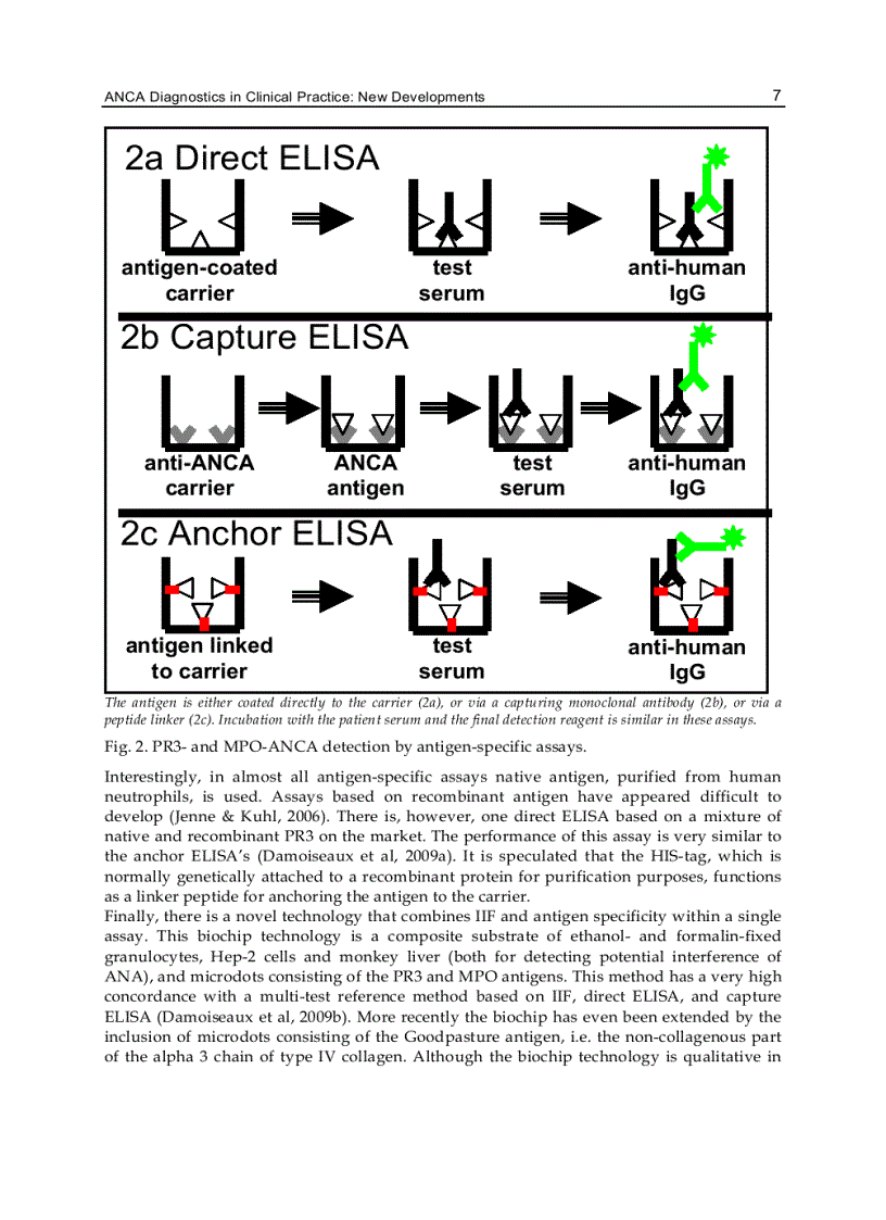 image for page Advances in the Diagnosis and Treatment of Vasculitis