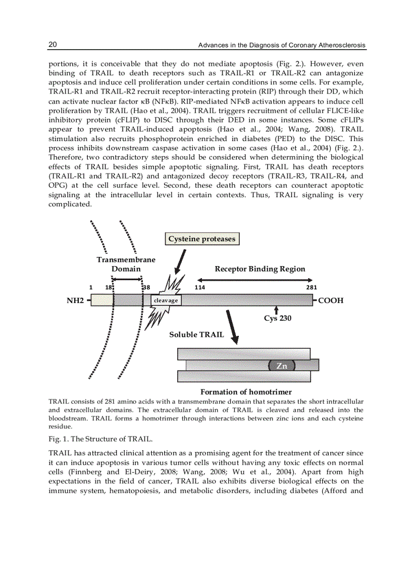 image for page Advances in the Diagnosis of Coronary Atherosclerosis