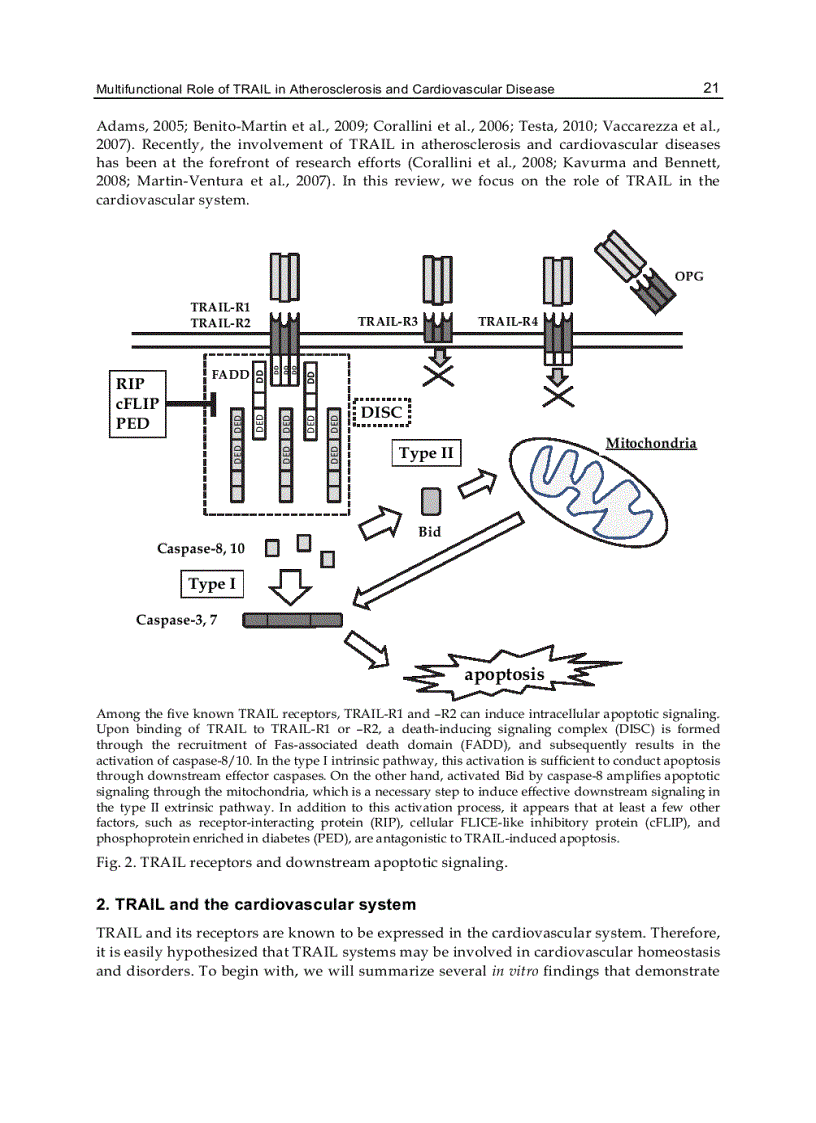 image for page Advances in the Diagnosis of Coronary Atherosclerosis