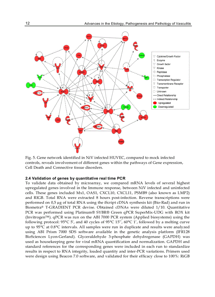 image for page Advances in the Etiology Pathogenesis and Pathology of Vasculitis