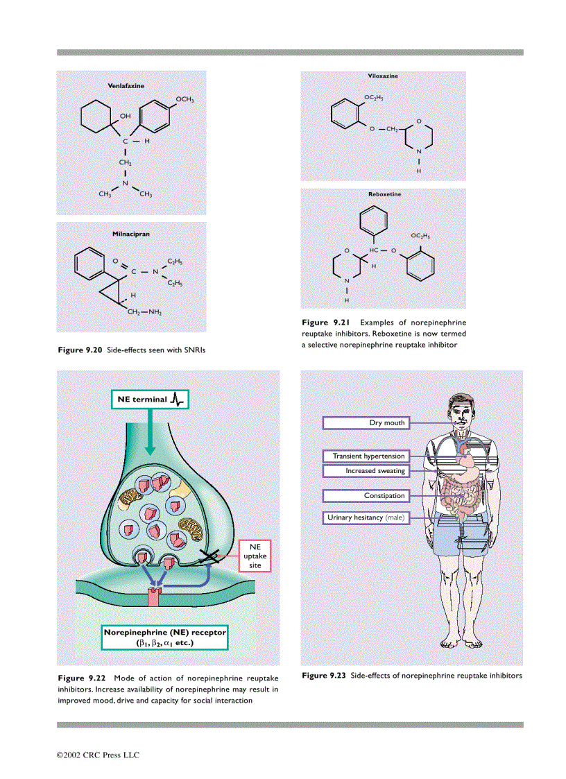image for page An Atlas of Depression 1st Edition