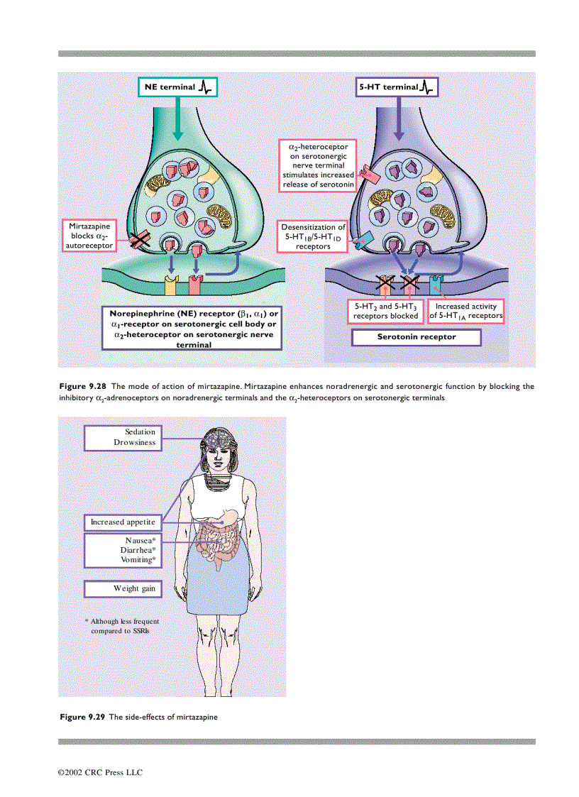 image for page An Atlas of Depression 1st Edition