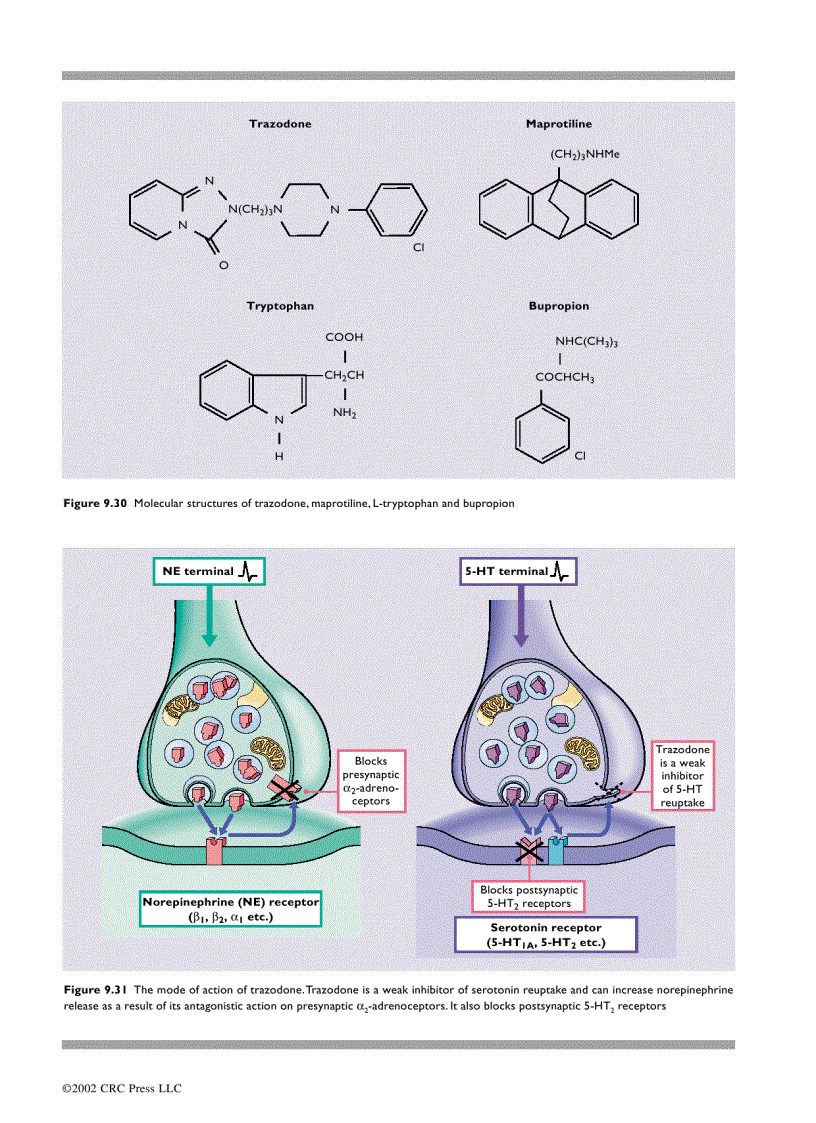 image for page An Atlas of Depression 1st Edition