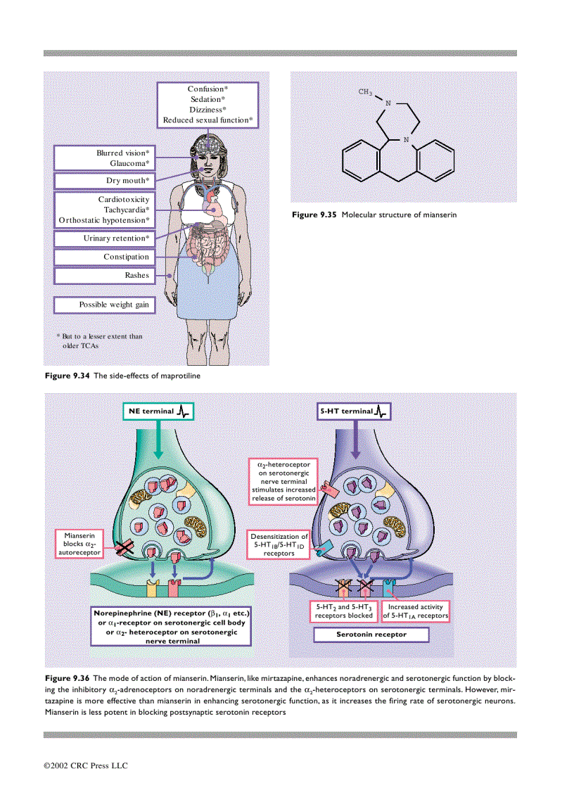 image for page An Atlas of Depression 1st Edition