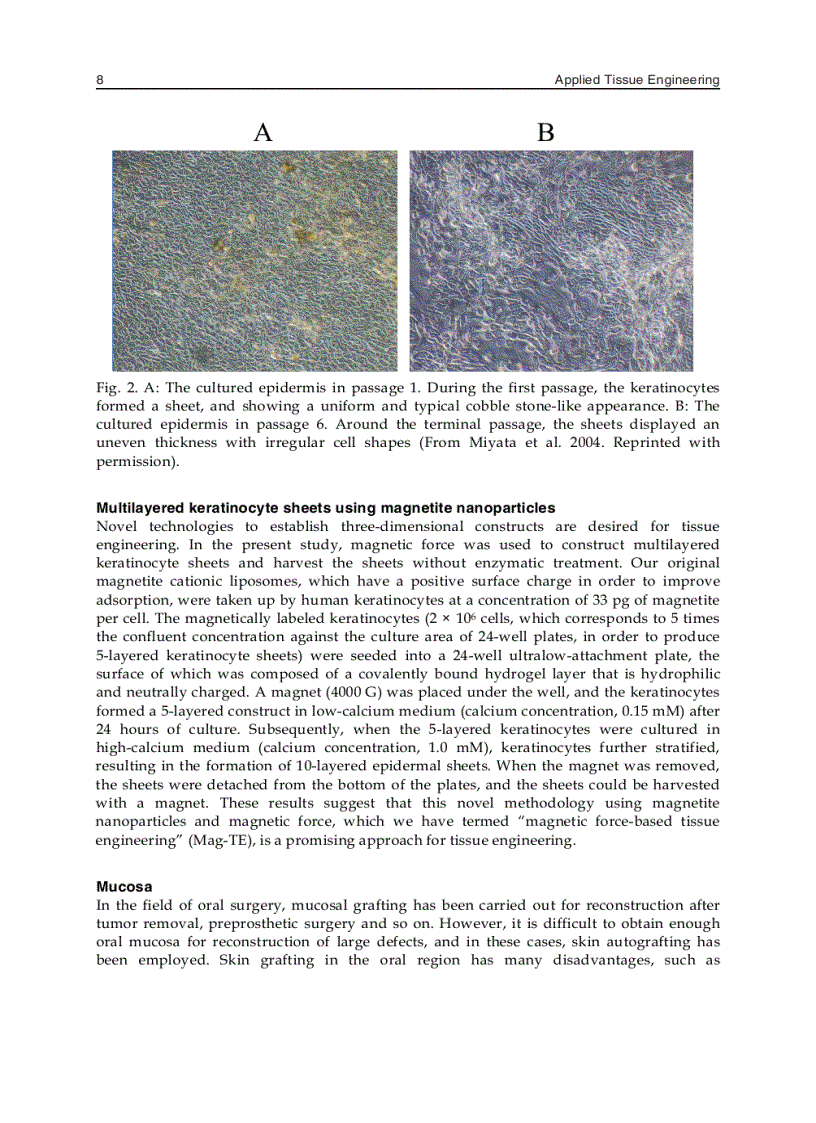 image for page Applied Tissue Engineering