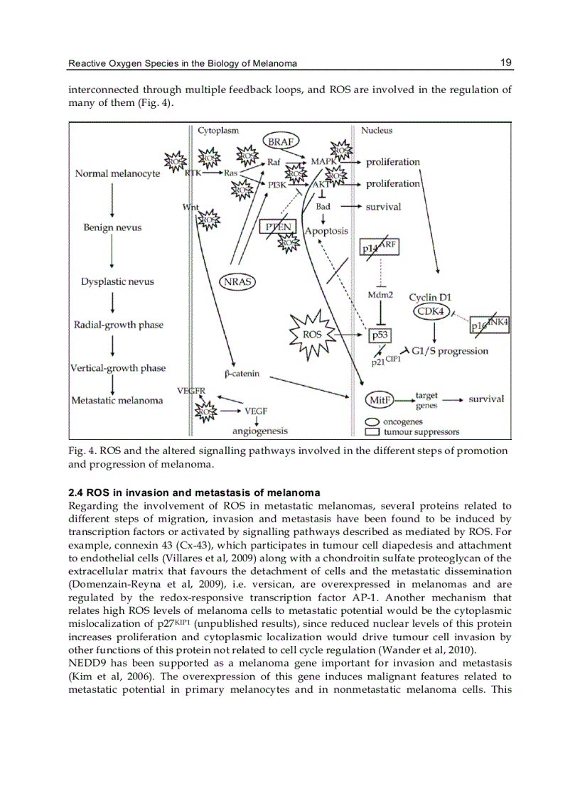 image for page Breakthroughs in Melanoma Research