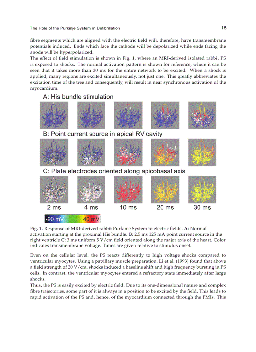 image for page Cardiac Defibrillation Mechanisms Challenges and Implications