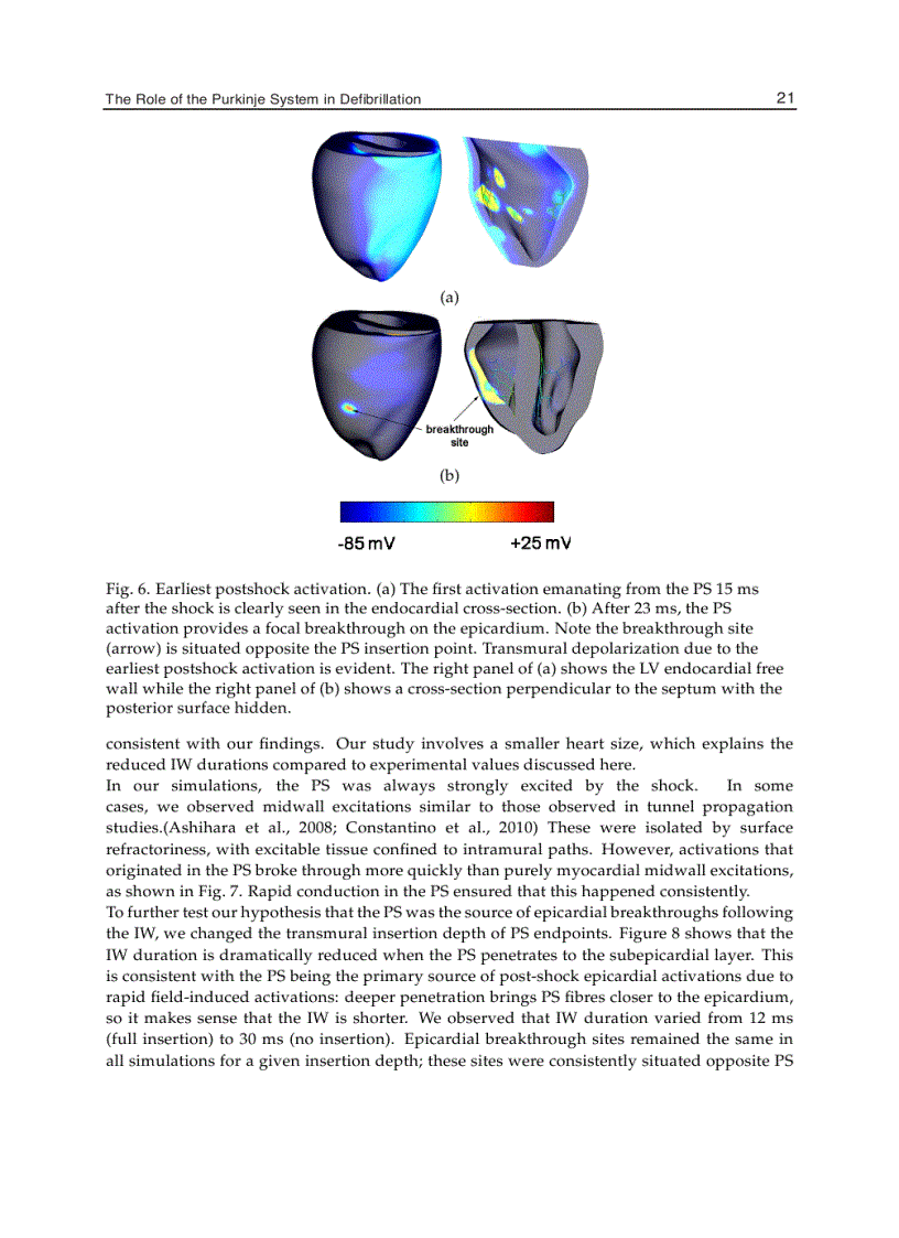 image for page Cardiac Defibrillation Mechanisms Challenges and Implications