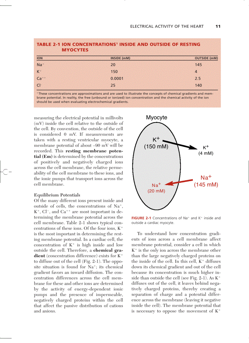 image for page Cardiovascular Physiology Concepts