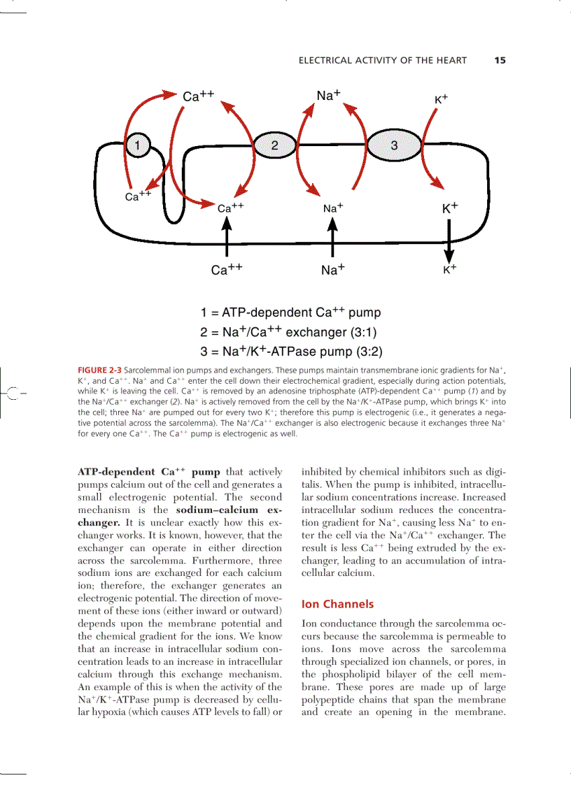 image for page Cardiovascular Physiology Concepts