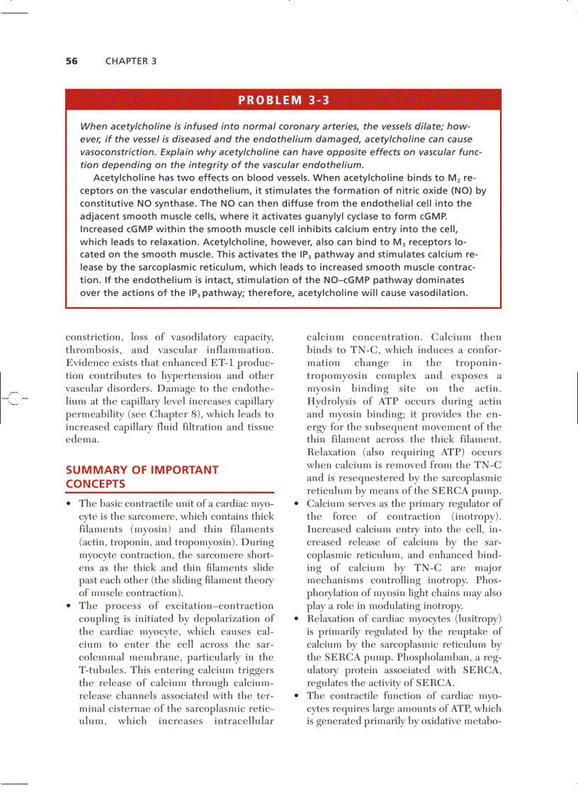 image for page Cardiovascular Physiology Concepts