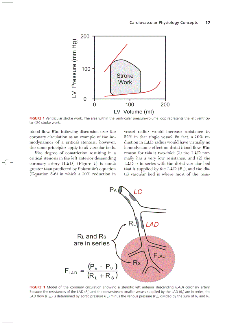 image for page Cardiovascular Physiology Concepts
