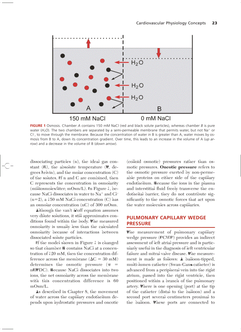 image for page Cardiovascular Physiology Concepts