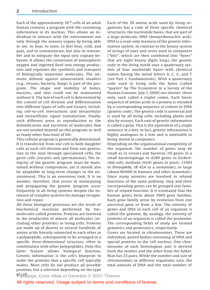 image for page Color atlas of genetics Passarge E