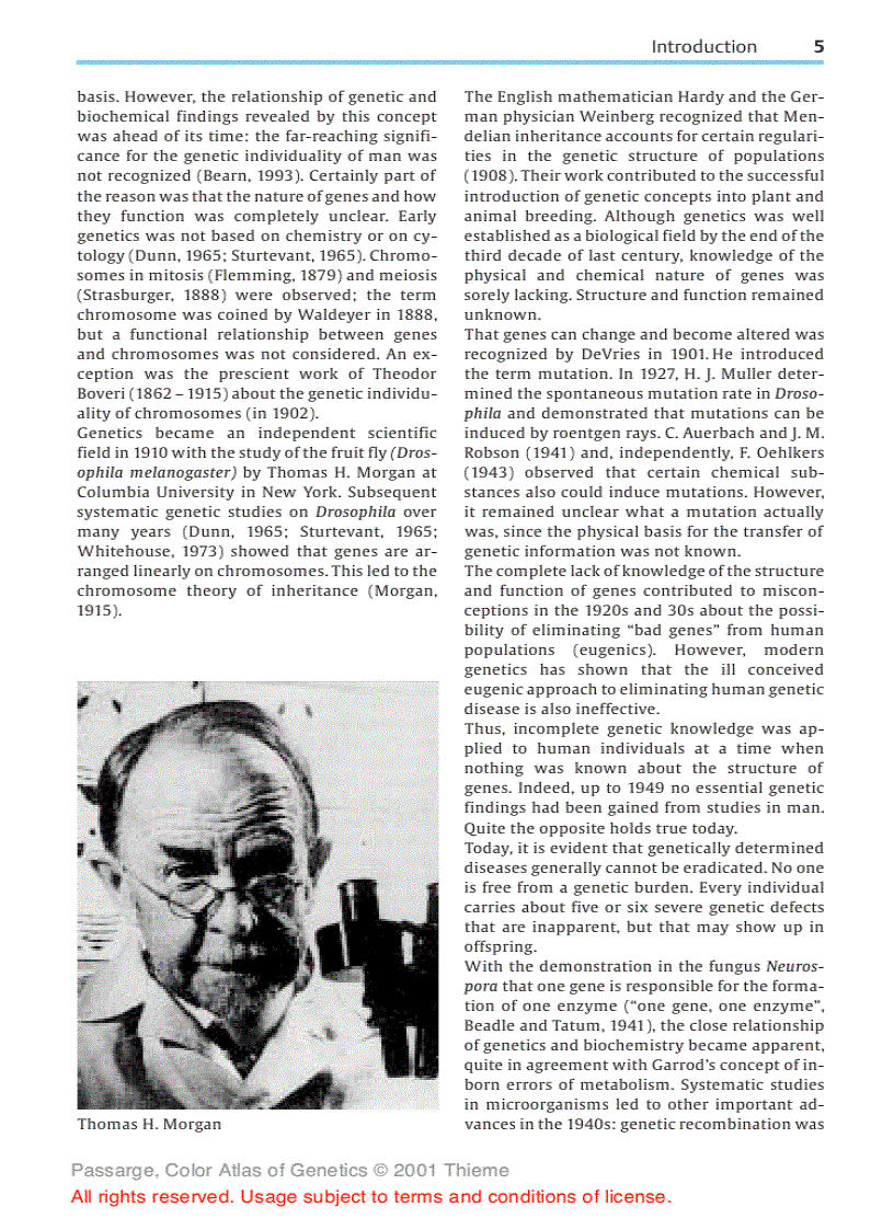 image for page Color atlas of genetics Passarge E